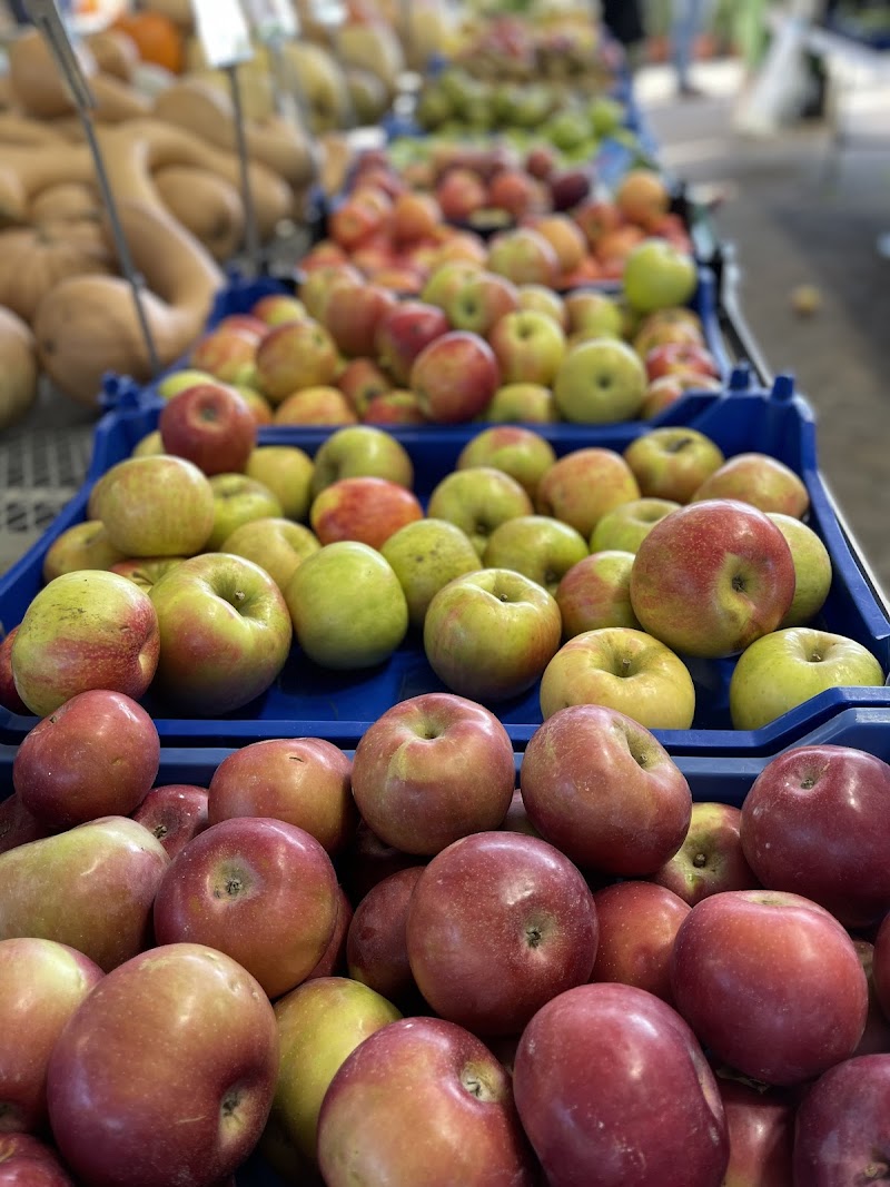 Briermere Farms photo 5