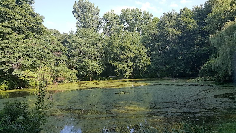Brinton Brook Sanctuary photo 2