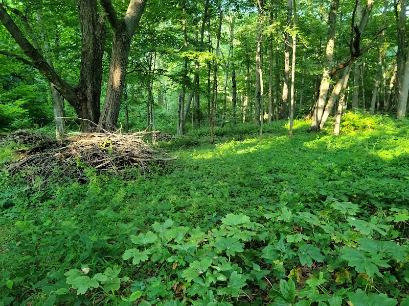 Brinton Brook Sanctuary photo 4