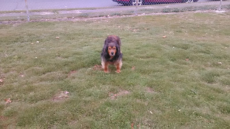 Broad River Park photo 5