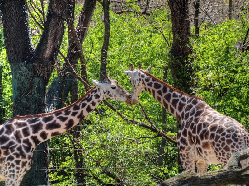 Bronx Zoo photo 2