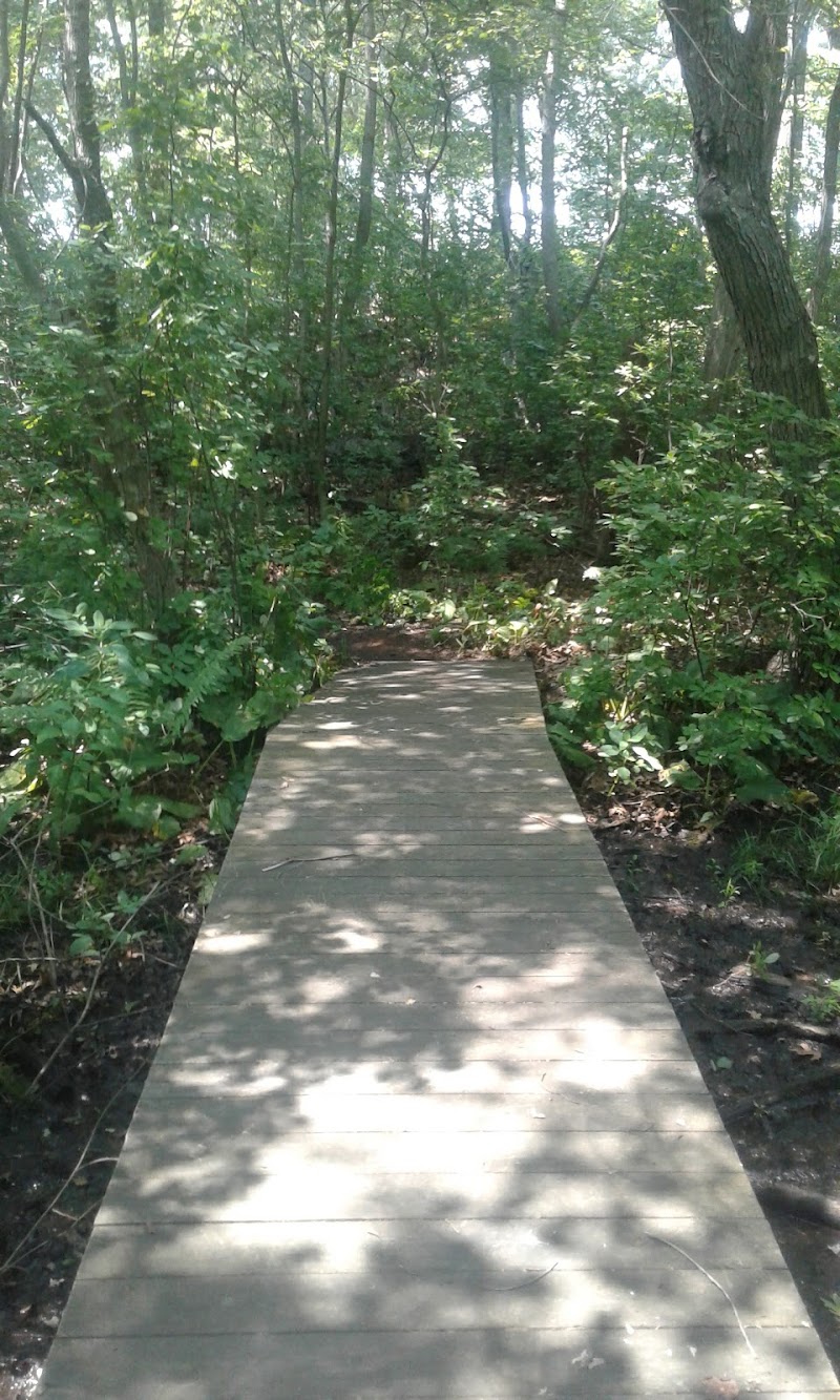 Brookside County Park photo 2