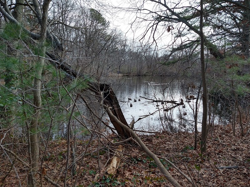 Brookside County Park photo 3