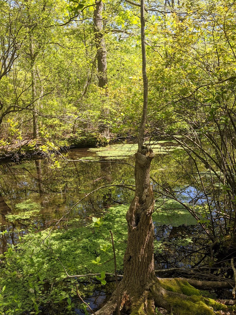 Brookside County Park photo 4