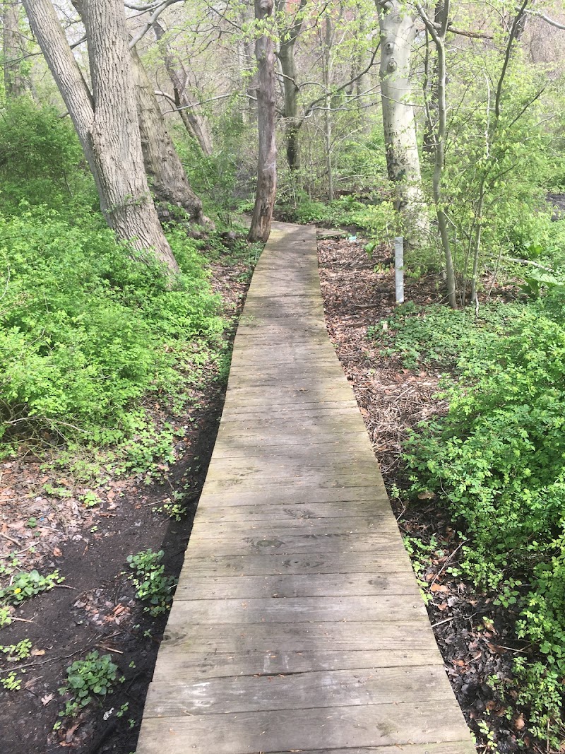 Brookside Preserve photo 1