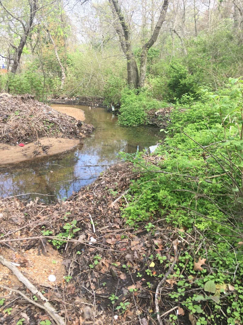 Brookside Preserve photo 4