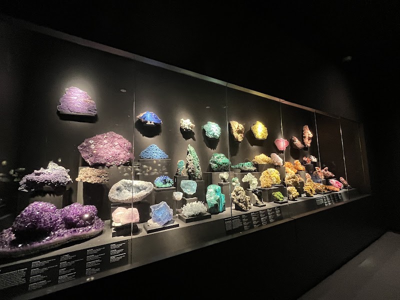 Bruce Museum photo 5