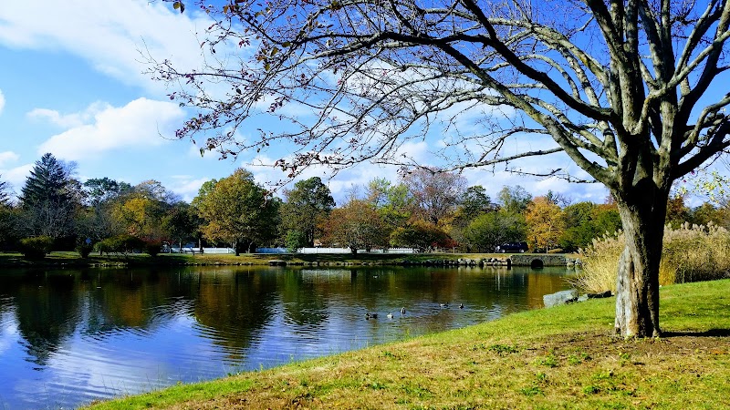 Bruce Park photo 3