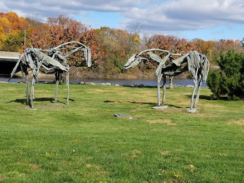 Bruce Park photo 4