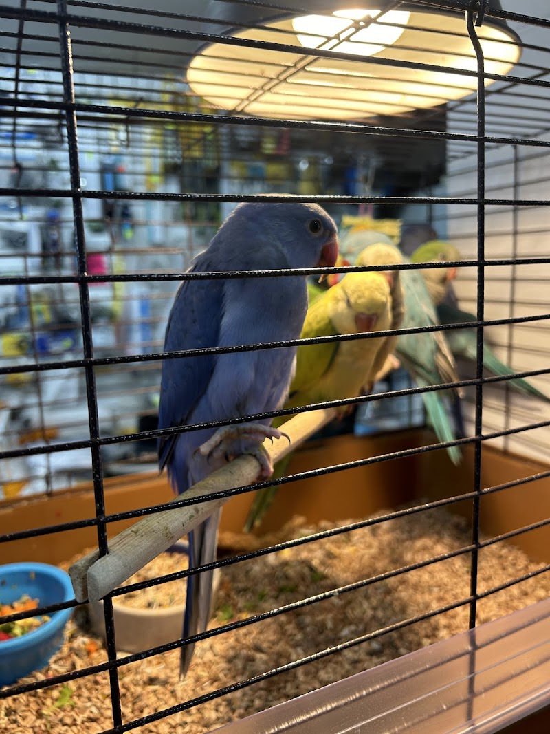 B.T.J.'s Jungle photo 4