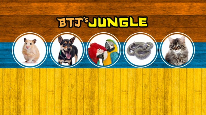 B.T.J.'s Jungle photo 5