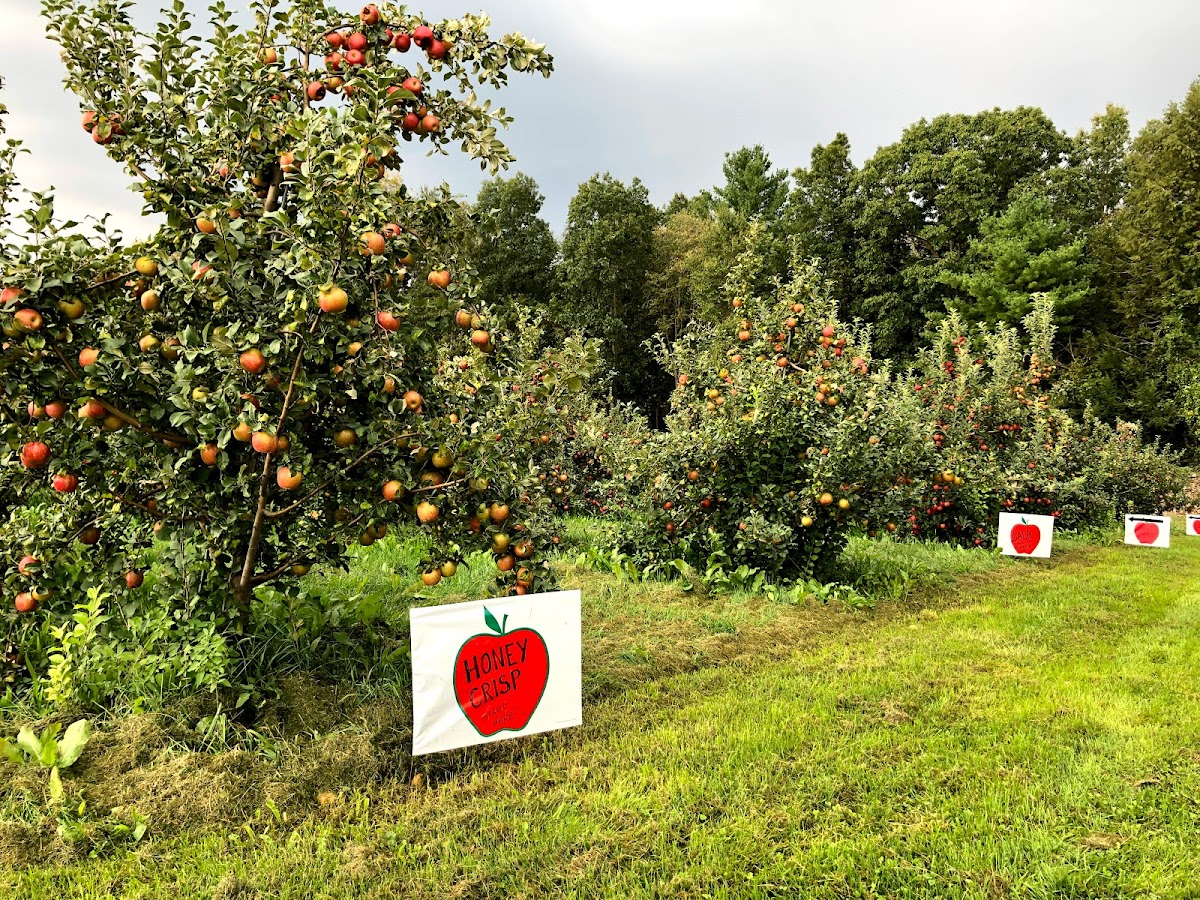 Buell's Orchard photo 5