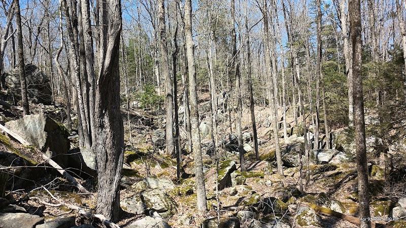 Bye Preserve, Pound Ridge Land Conservancy photo 2