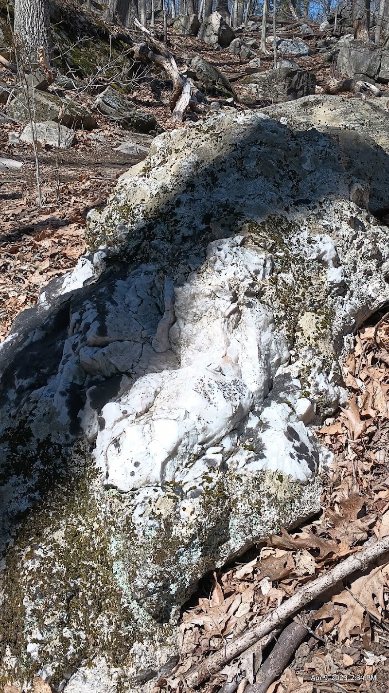 Bye Preserve, Pound Ridge Land Conservancy photo 3