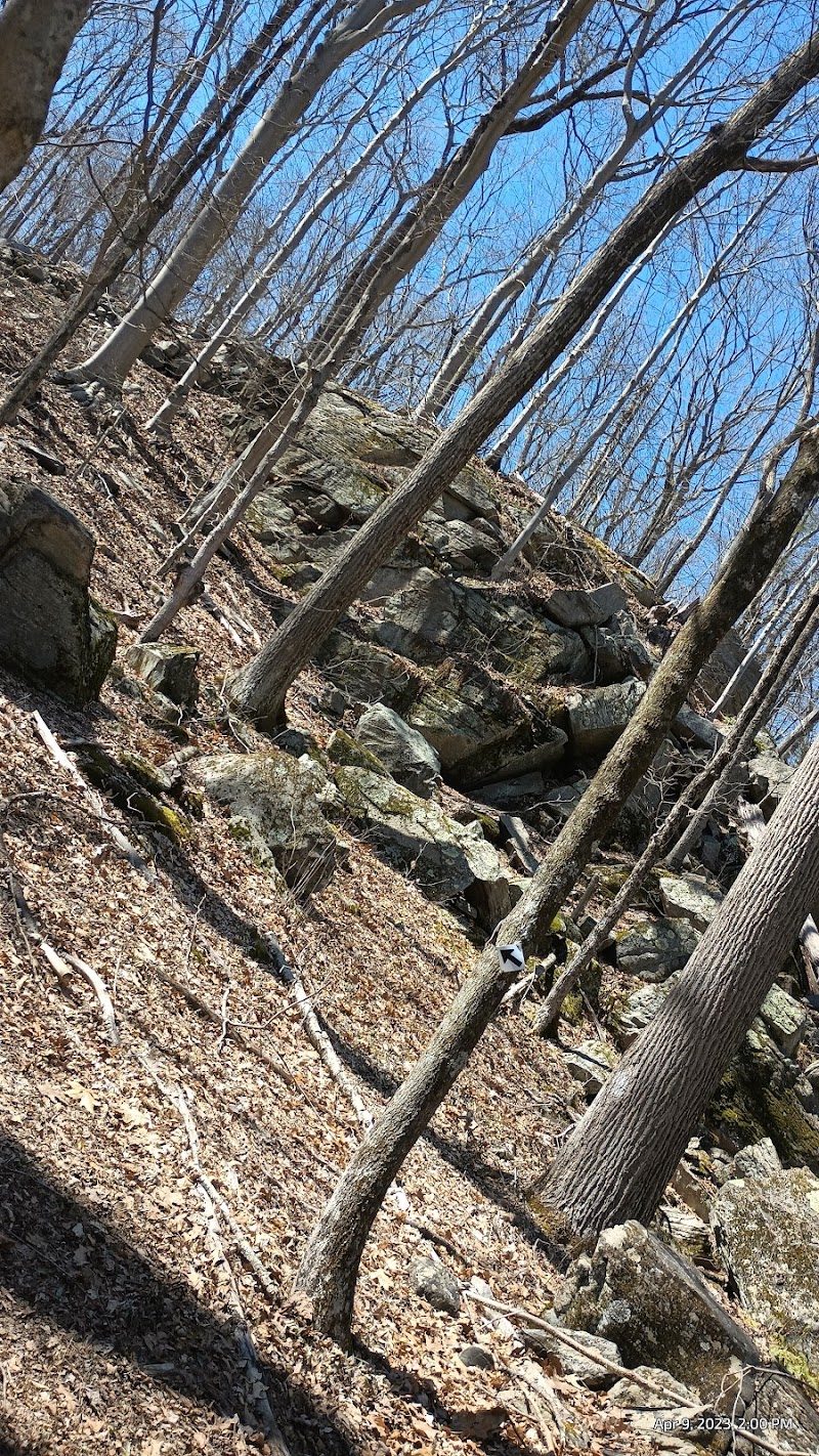 Bye Preserve, Pound Ridge Land Conservancy photo 4