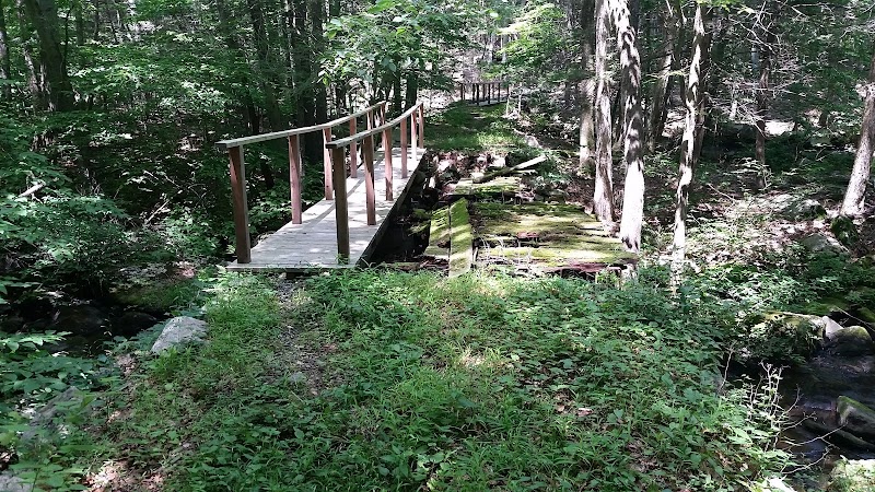 Bye Preserve, Pound Ridge Land Conservancy photo 5