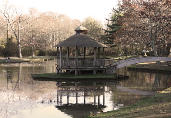 Byron Lake Park photo 3