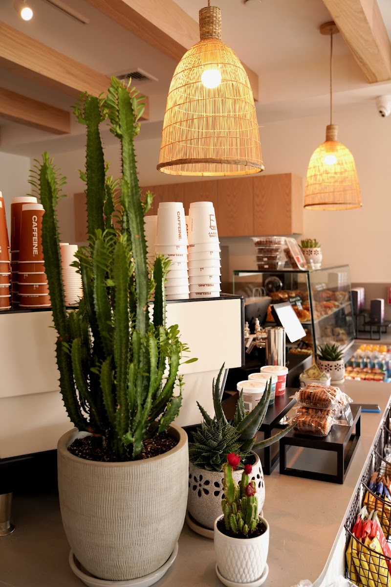 Caffeine Café West Hampton photo 5