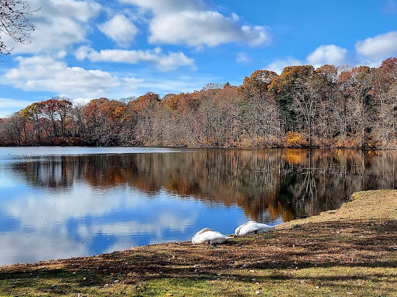 Caleb Smith State Park Preserve photo 2