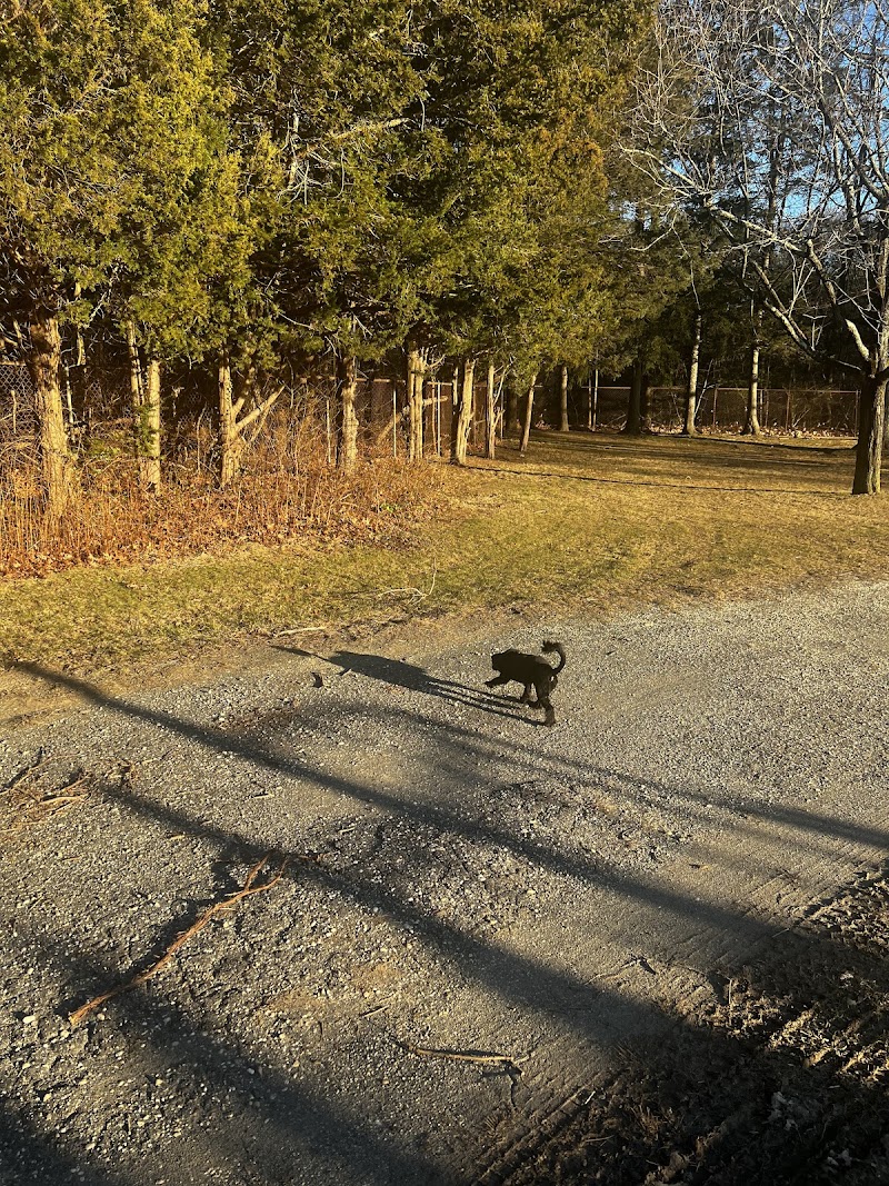 Caledonia Park photo 3