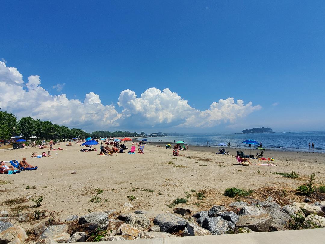 Calf Pasture Beach photo 2