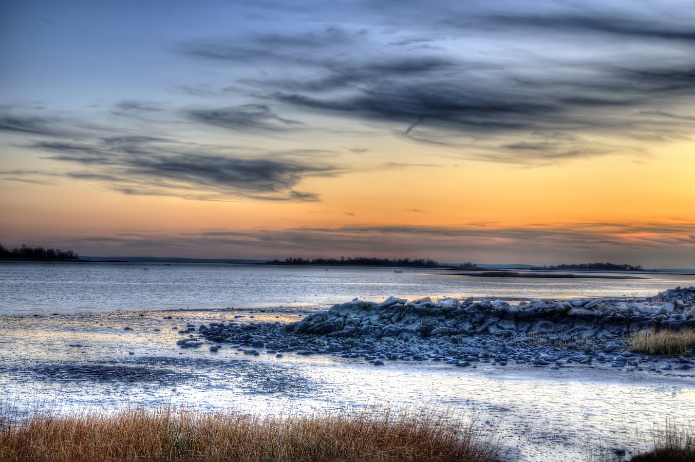 Calf Pasture Beach photo 5