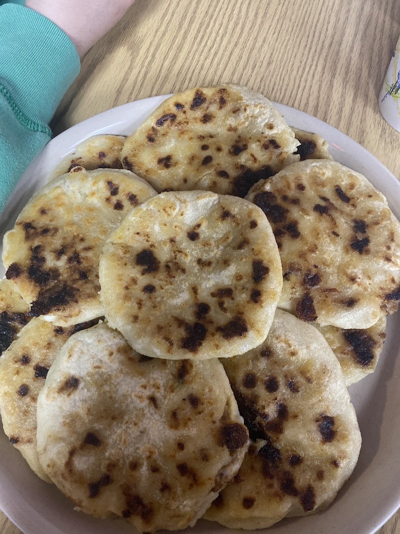 Camelitas photo 2