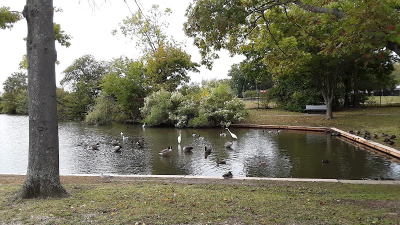 Cammanns Pond County Park photo 3
