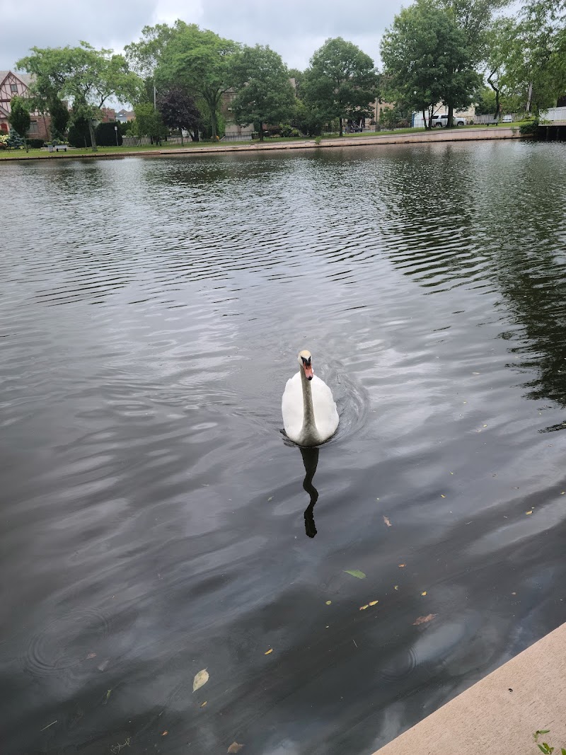 Cammanns Pond County Park photo 4