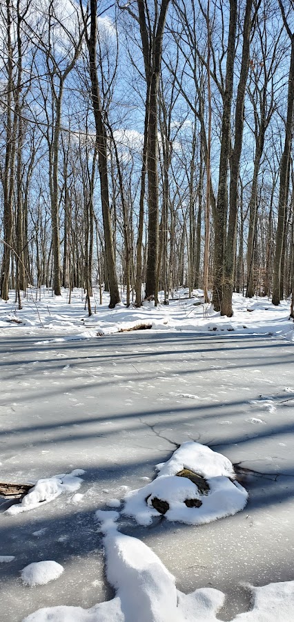 Candlewood Town Park photo 5