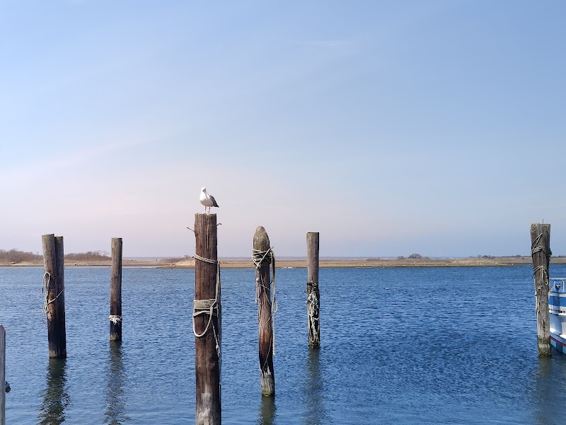 Captree State Park photo 5