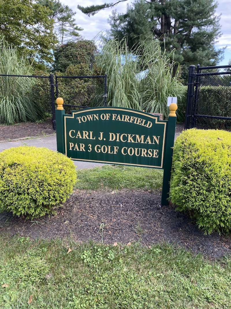 Carl Dickman Par 3 Golf Course photo 3