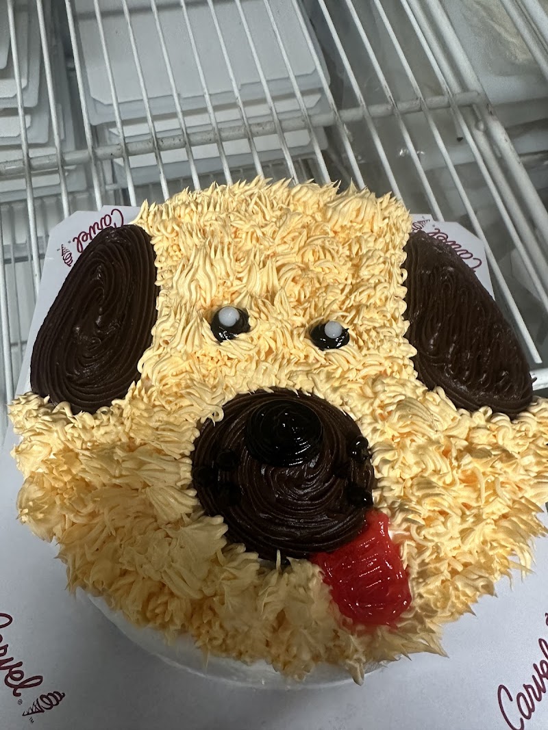 Carvel photo 5