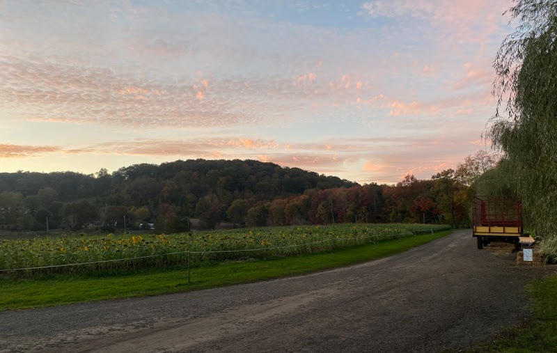 Castle Hill Farm Inc photo 3