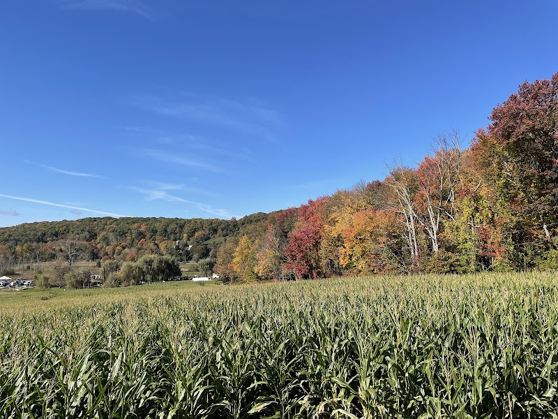 Castle Hill Farm Inc photo 4