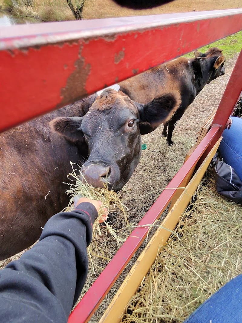 Castle Hill Farm Inc photo 5