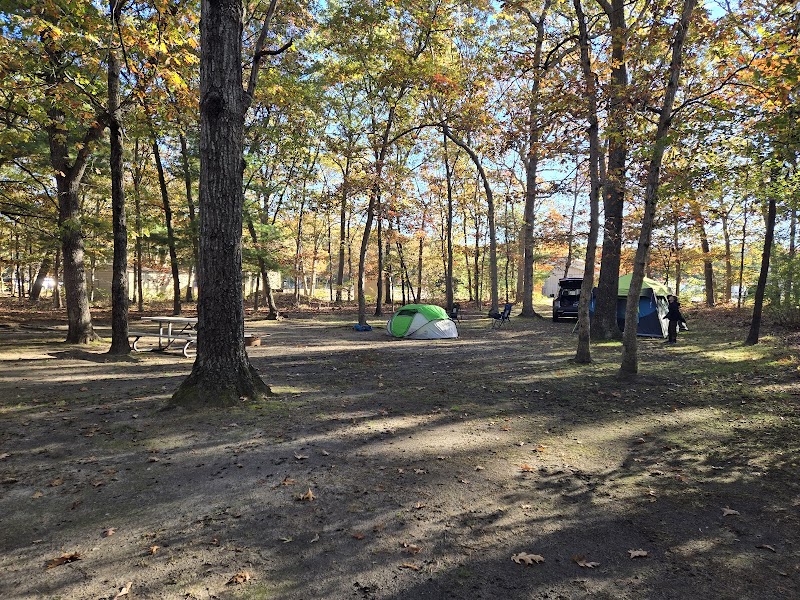 Cathedral Pines County Park photo 4
