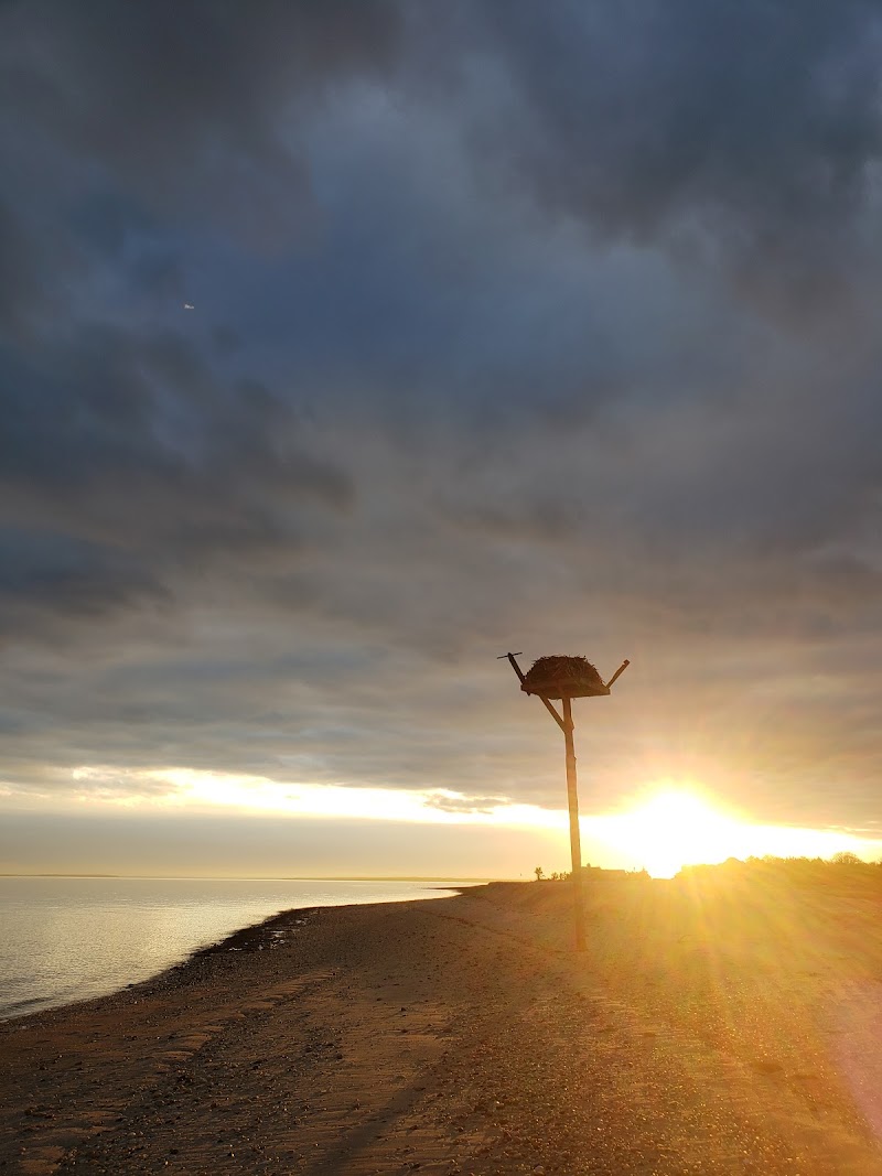 Cedar Beach County Park photo 4