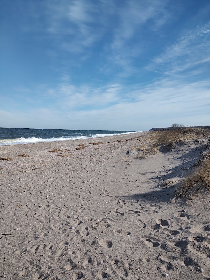 Cedar Beach Nature Center photo 3