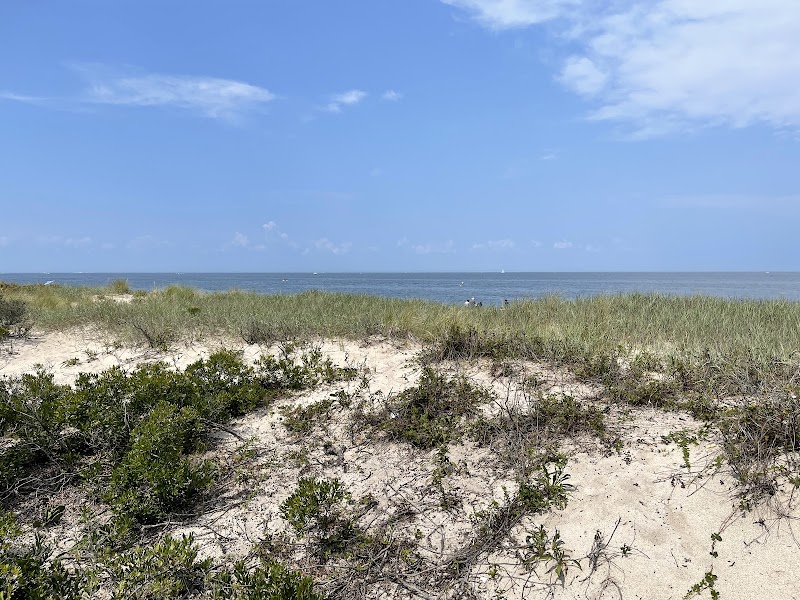 Cedar Beach Nature Center photo 4