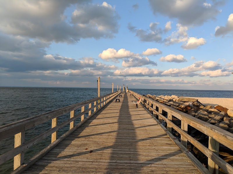 Cedar Beach Town Nature Preserve photo 1