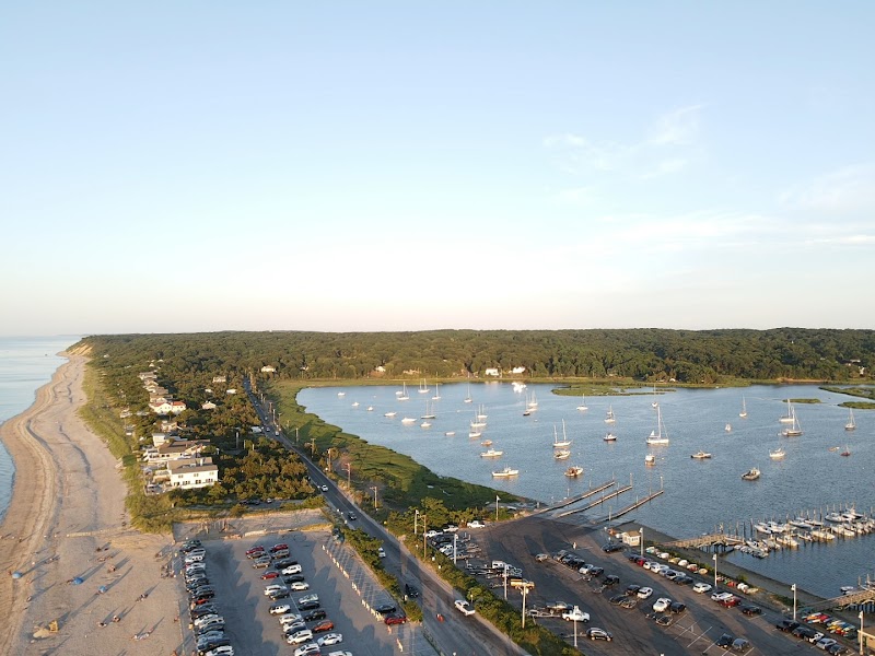 Cedar Beach Town Nature Preserve photo 3