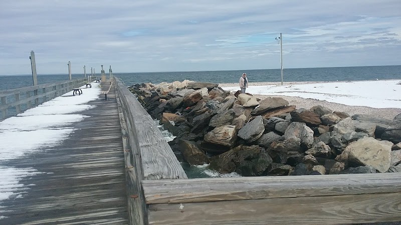 Cedar Beach Town Nature Preserve photo 4