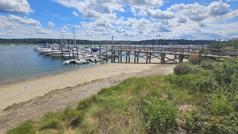 Cedar Beach Town Nature Preserve photo 5