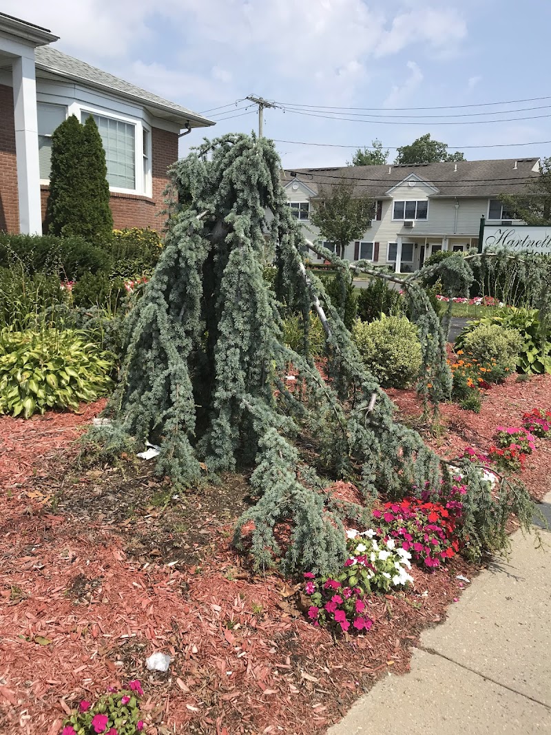 Cedar Street Park photo 3