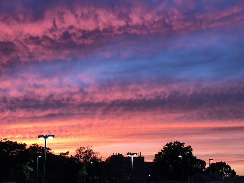 Cedar Street Park photo 5