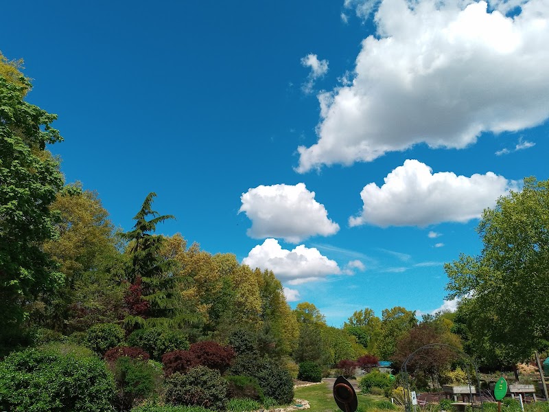 Centennial Gardens photo 4