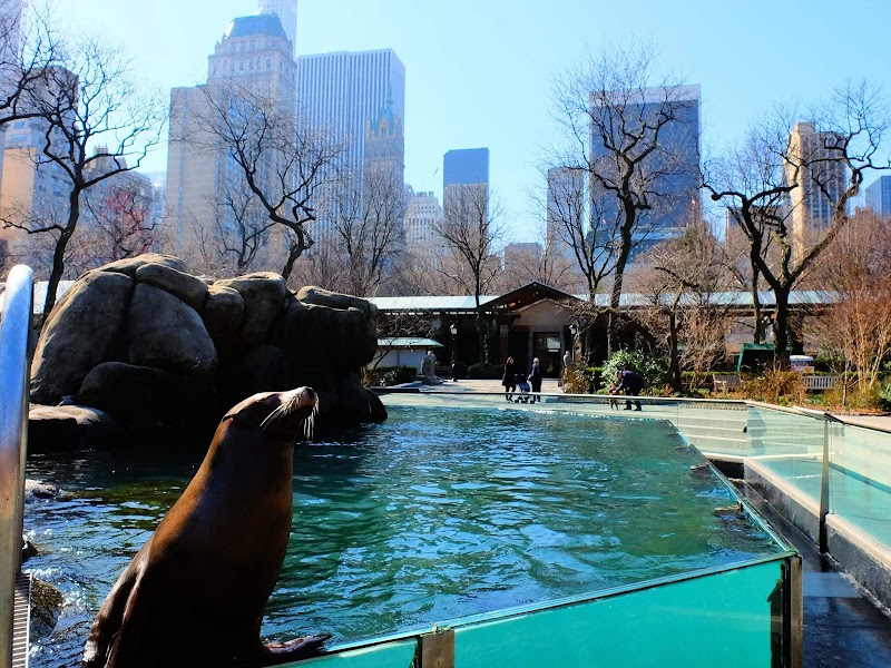 Central Park Zoo photo 3