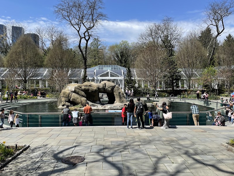 Central Park Zoo photo 4