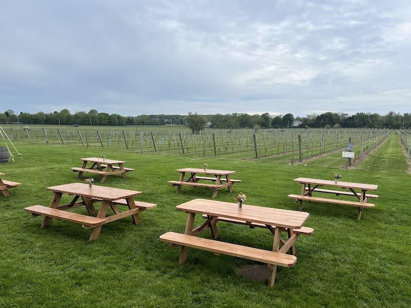 Channing Daughters Winery photo 4